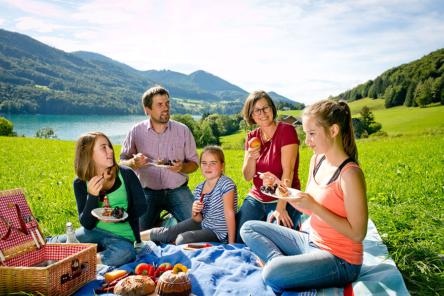 &copy; Fuschlseeregion-Wildbild